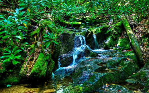 504835 (a): :1680x1050